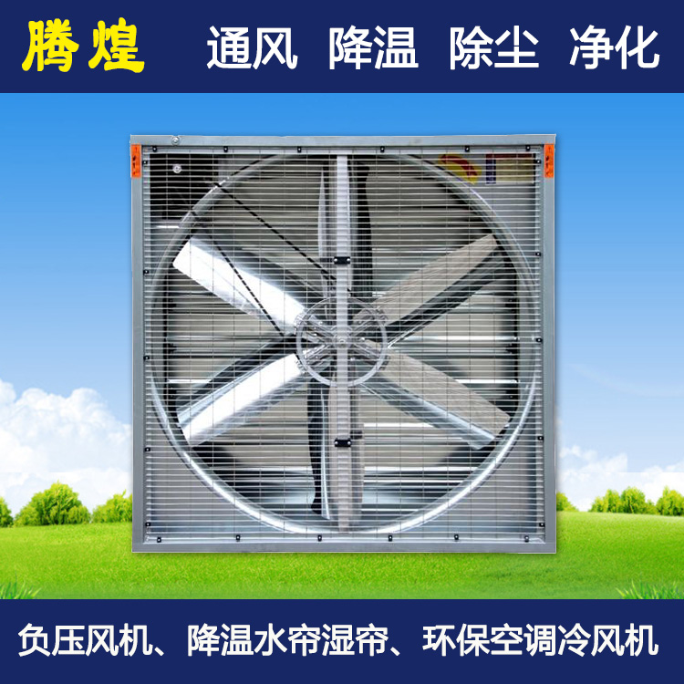 降溫通風(fēng)解決方案河源畜牧養(yǎng)殖豬場(chǎng)