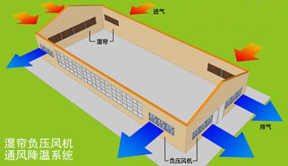 通風(fēng)散熱解決方案河源畜牧養(yǎng)殖豬場