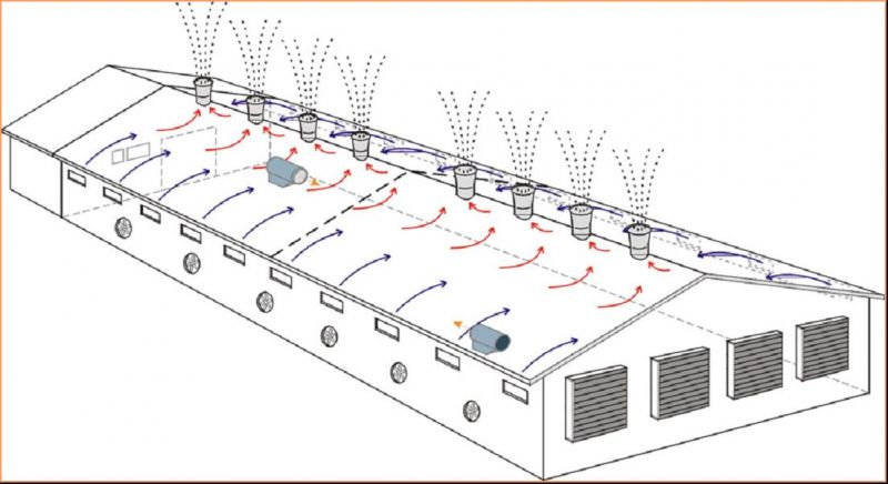 通風(fēng)降溫方法辦法汕頭畜牧養(yǎng)殖豬場